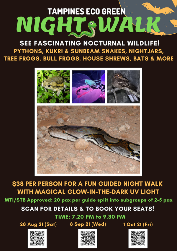 Night Walks @ 4 Wildlife-Rich Sites